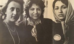 World Update 03: Community Briefing and Developments