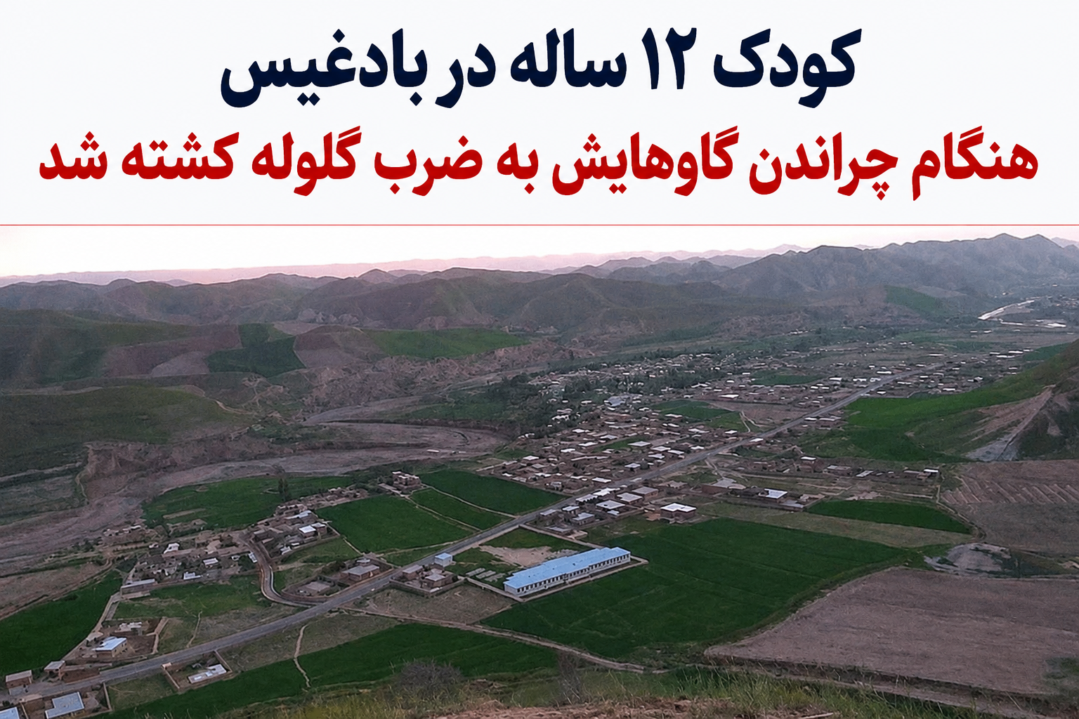 کودک ۱۲ ساله در بادغیس هنگام چراندن گاوهایش به ضرب گلوله کشته شد