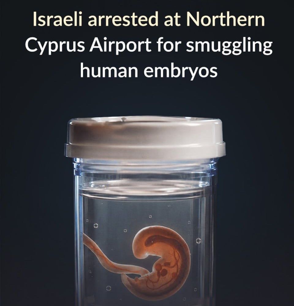 Arrest of Israeli Man in Northern Cyprus for Allegedly Carrying Human Embryos