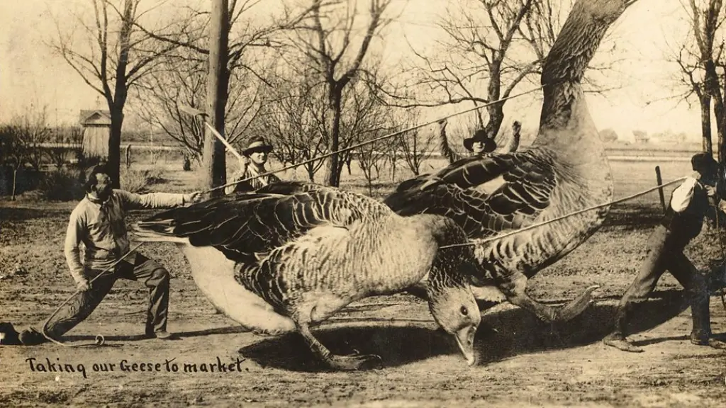 World Update 02: Community Briefing and Developments