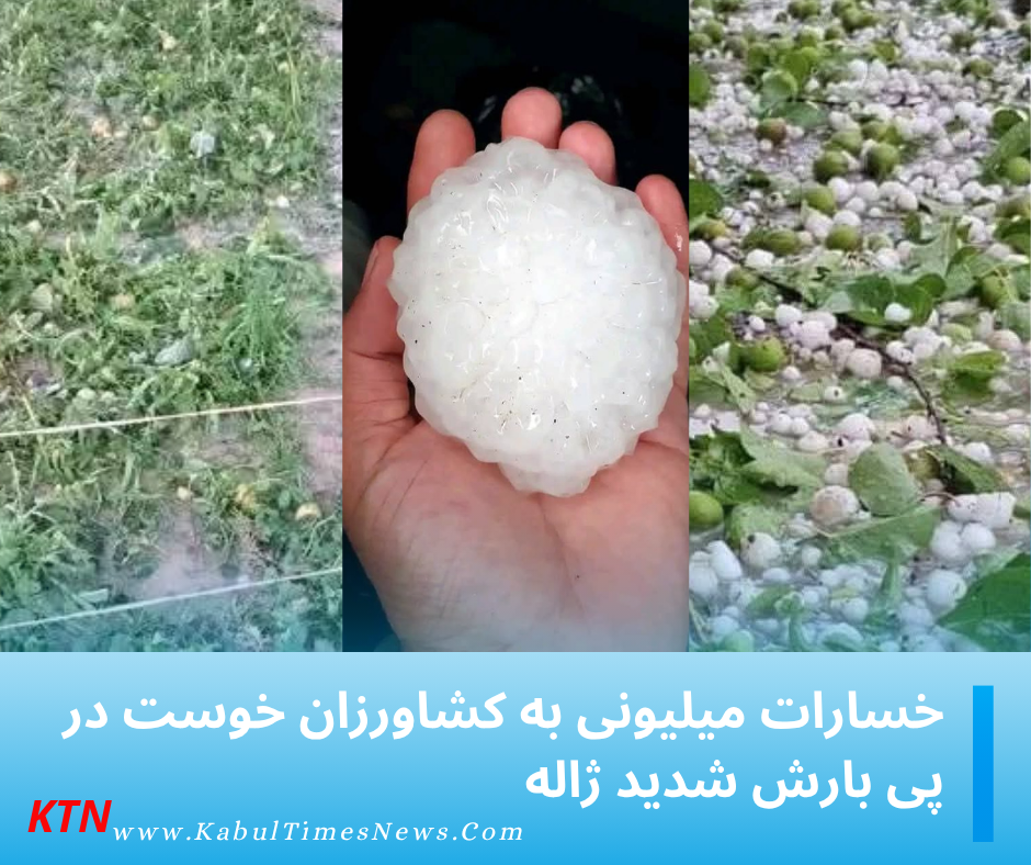 Millions of Afghani Damage to Khost Farmers Following Heavy Hail